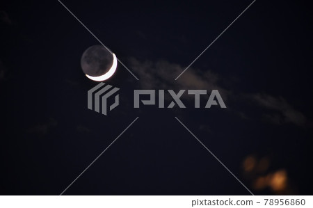 新月 新月 78956860