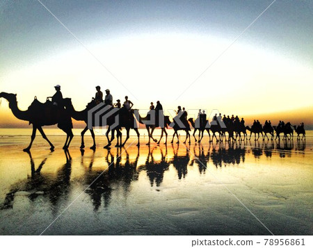 Camel ride on the beach Camel ride on the beach 78956861