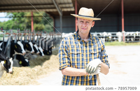Male farmer posing at cowshed on farm 78957009