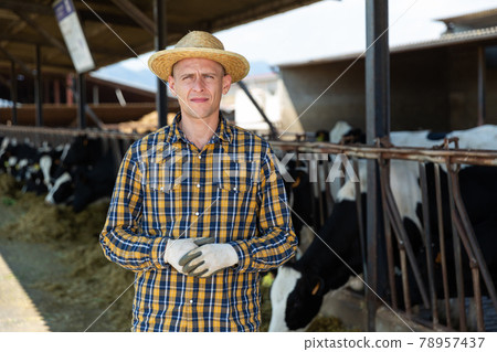 Male farmer posing at cowshed on farm 78957437