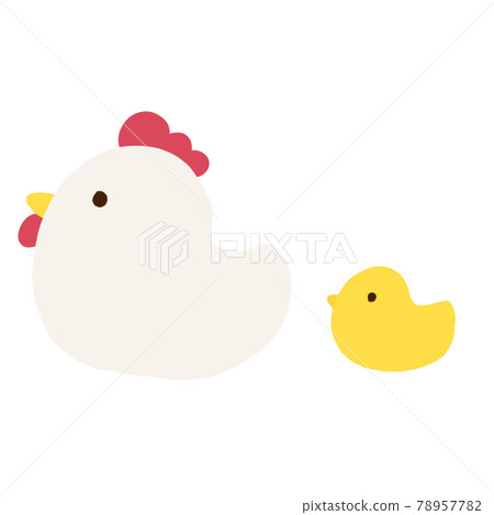 雞和小雞的父母和孩子 雞和小雞的父母和孩子 78957782