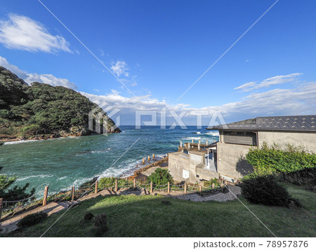 The dolphin show is fun! Kinosaki Marine World 78957876