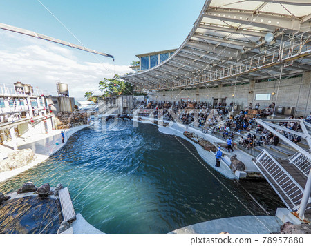 海豚表演很有趣！城崎海洋世界 78957880