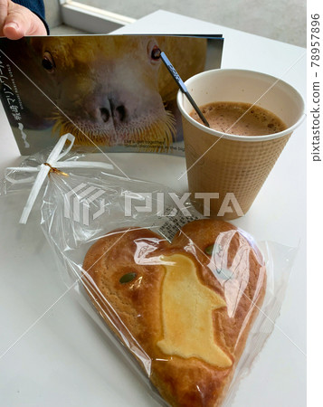 The dolphin show is fun! Kinosaki Marine World The dolphin show is fun! Kinosaki Marine World 78957896