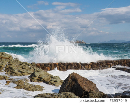 海豚表演很有趣!城崎海洋世界 海豚表演很有趣!城崎海洋世界 78957949