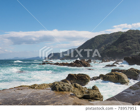 The dolphin show is fun! Kinosaki Marine World The dolphin show is fun! Kinosaki Marine World 78957951