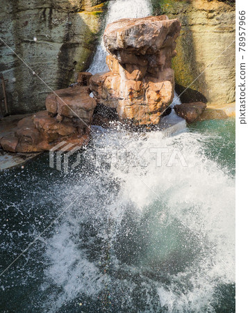 The dolphin show is fun! Kinosaki Marine World 78957966