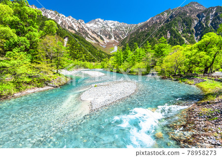 《長野縣》鮮綠色的上高地,竹澤和梓河 《長野縣》鮮綠色的上高地,竹澤和梓河 78958273