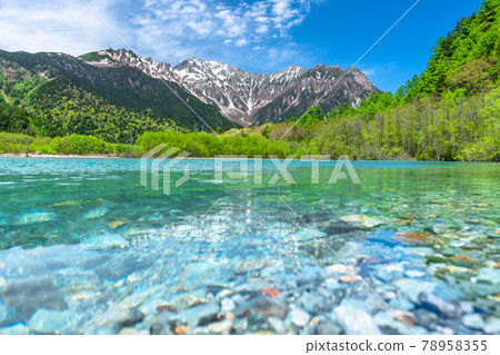 《Nagano Prefecture》 Fresh green Kamikochi, Taisho Pond 78958355