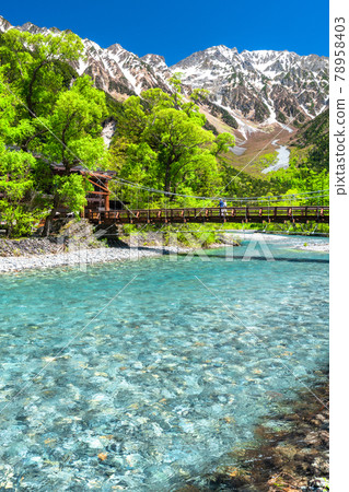 《長野縣》鮮綠的上高地河童橋 78958403