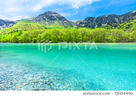 《長野縣》大正池鮮綠上高地 《長野縣》大正池鮮綠上高地 78958490