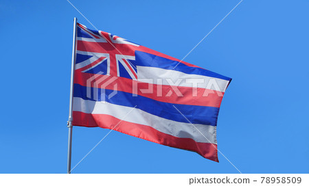 夏威夷州旗 夏威夷王國旗 78958509