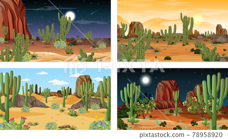 Different scenes with desert forest landscape with various desert plants Different scenes with desert forest landscape with various desert plants 78958920