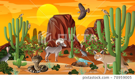 Desert forest landscape scene at sunset time with wild animals Desert forest landscape scene at sunset time with wild animals 78959005