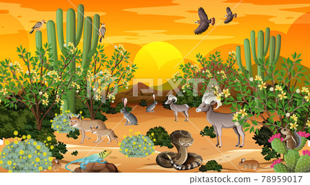 Desert forest landscape at sunset time scene with wild animals 78959017