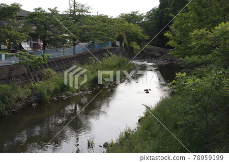 View downstream from the Kasumi River / Hachitaka Pedestrian Bridge (Iruma City, Saitama Prefecture) 78959199