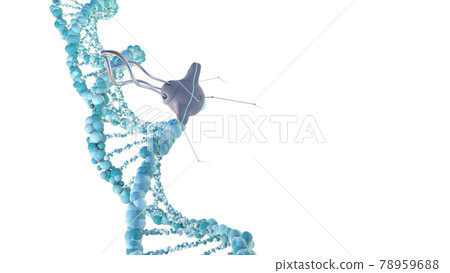 Medical nanobots repair a damaged section of DNA. 3D render. 78959688