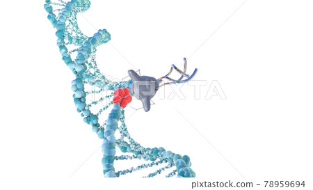 Medical nanobots repair a damaged section of DNA. 3D render. Medical nanobots repair a damaged section of DNA. 3D render. 78959694