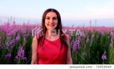 Portrait of a young brunette among the willow tea inflorescences at sunset. girl in high stems of 78959949
