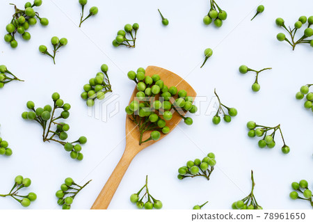 Turkey berry isolated on white background 78961650