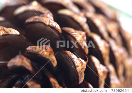 Still life photography Still life photography 78962664
