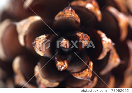 Still life photography Still life photography 78962665