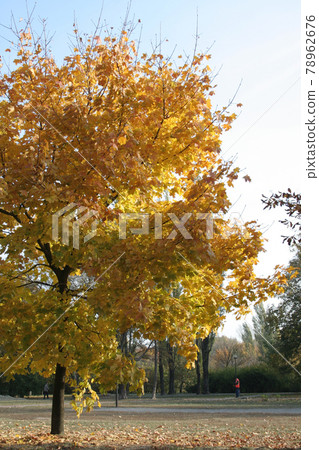 Still life photography Still life photography 78962676