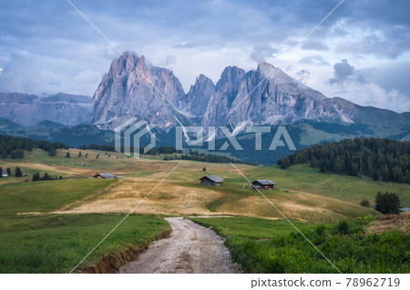 Italian Dolomiti Alps. Seiser Alm or Alpe di Siusi location, Bolzano province, South Tyrol, Italy, Europe 78962719