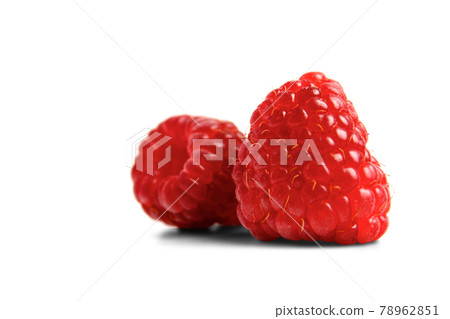 Still life Photography 78962851