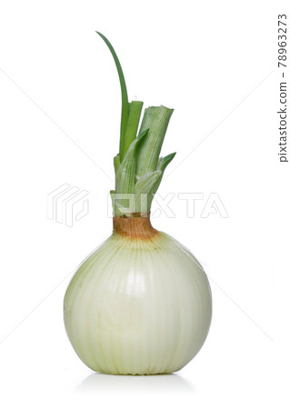 Still ife fruit and vegetable Still ife fruit and vegetable 78963273