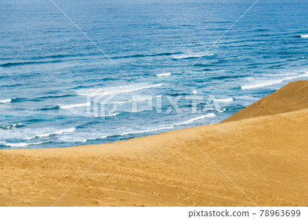 Rough waves on the coast seen from the Tottori Sand Dunes 78963699