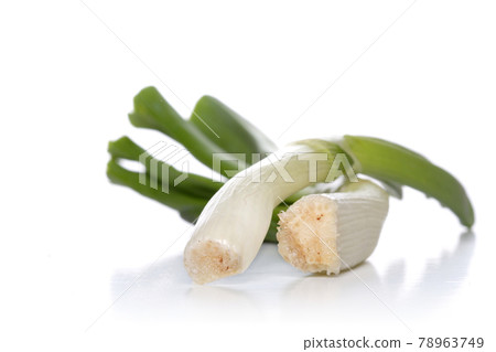Still life photography 78963749