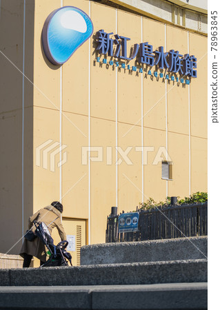 [Enoshima Aquarium by the sea] 78963845