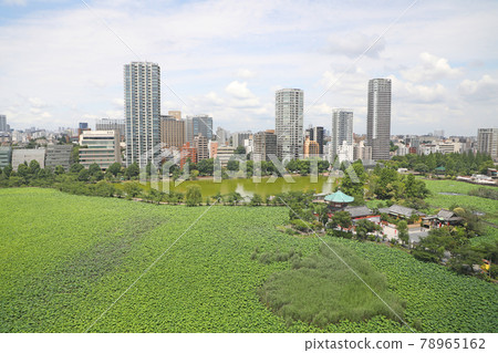Ueno Impression Park's Territory Pond 78965162