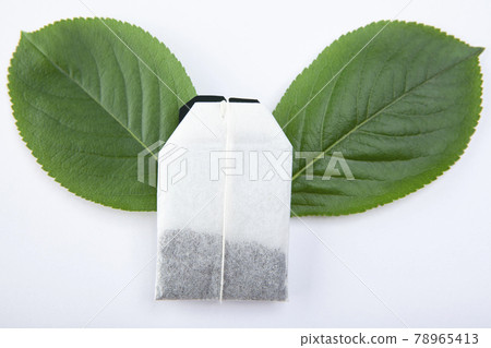 image of tea pocket leaf white background image of tea pocket leaf white background 78965413