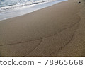 美麗的沙丘和古浦海岸（千葉縣禦宿町） 78965668
