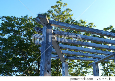White pergola and blue sky 78966910