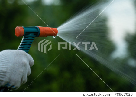 Gardening and maintainance- close up of man hands with hose watering the lawn 78967026