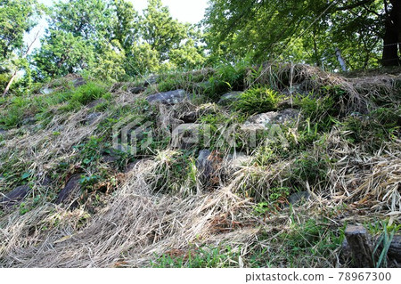 興國際寺 78967300