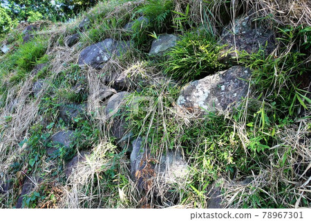 興國際寺 興國際寺 78967301