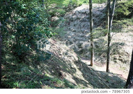 興國際寺 78967305