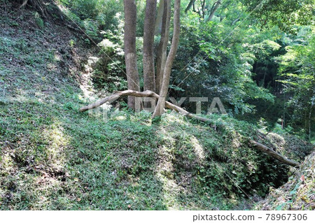 興國際寺 78967306