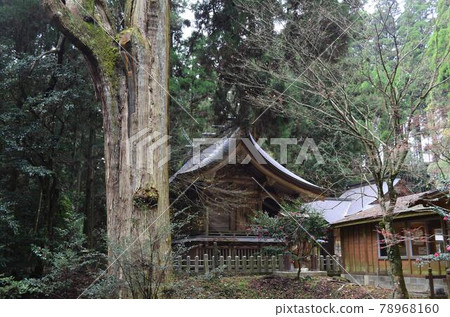 Aso Kusakabeyoshimi Shrine Aso Kusakabeyoshimi Shrine 78968160