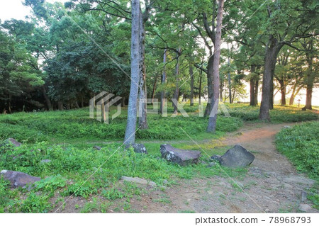 Ishigakiyama 78968793
