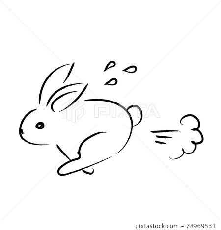 Rabbit illustration 78969531