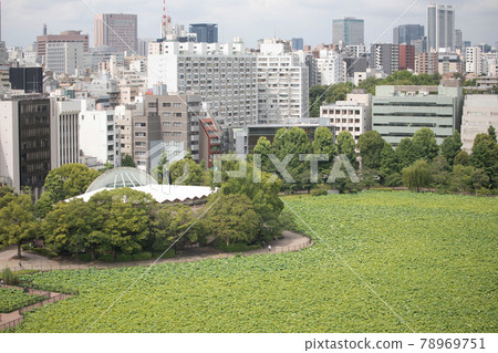 Ueno Impression Park's Territory Pond 78969751