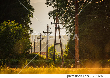 Electric line on wooden poles going through rural area fields and trees 78969785