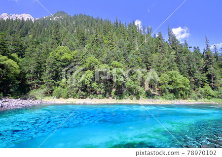 中國四川九寨溝的湖泊,湛藍的高賽池 中國四川九寨溝的湖泊,湛藍的高賽池 78970102