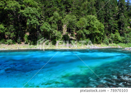 Lakes in Jiuzhaigou, Sichuan, China, bright blue Gosai Pond Lakes in Jiuzhaigou, Sichuan, China, bright blue Gosai Pond 78970103