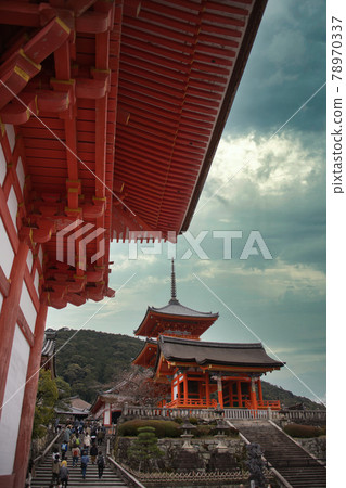 建設後的清水寺櫻花2021春 建設後的清水寺櫻花2021春 78970337